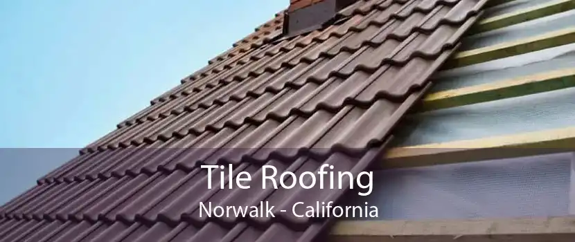 Tile Roofing Norwalk - California