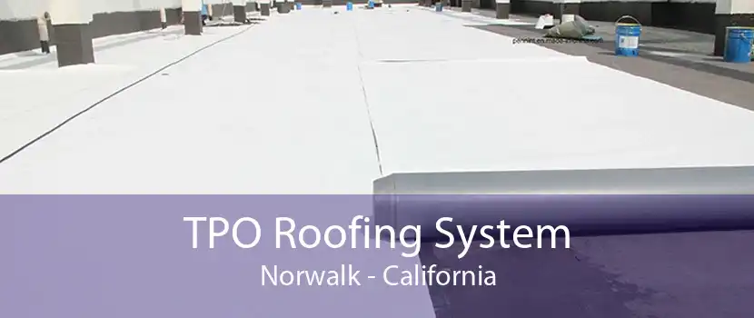 TPO Roofing System Norwalk - California